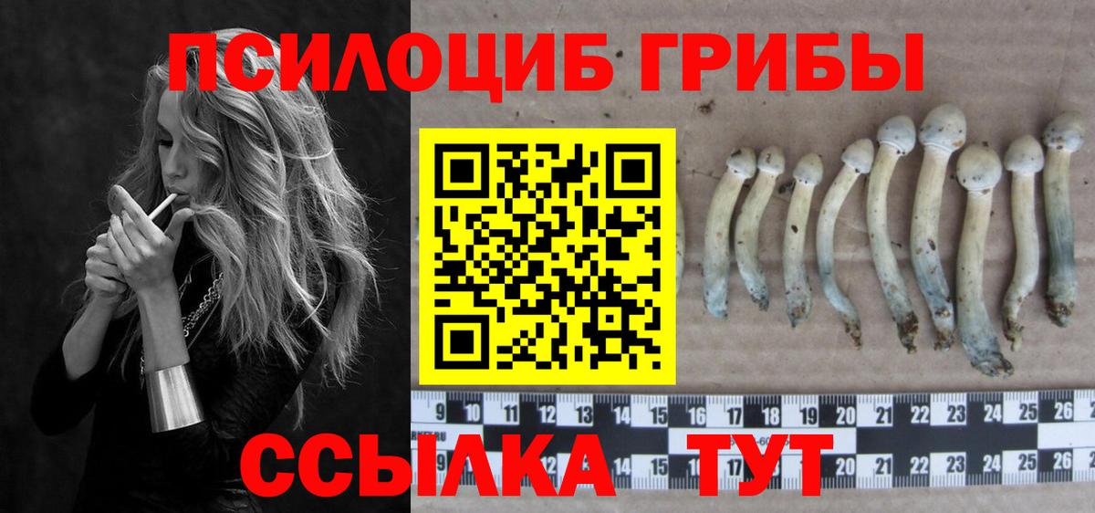 Галлюциногенные грибы мухоморы Узловая