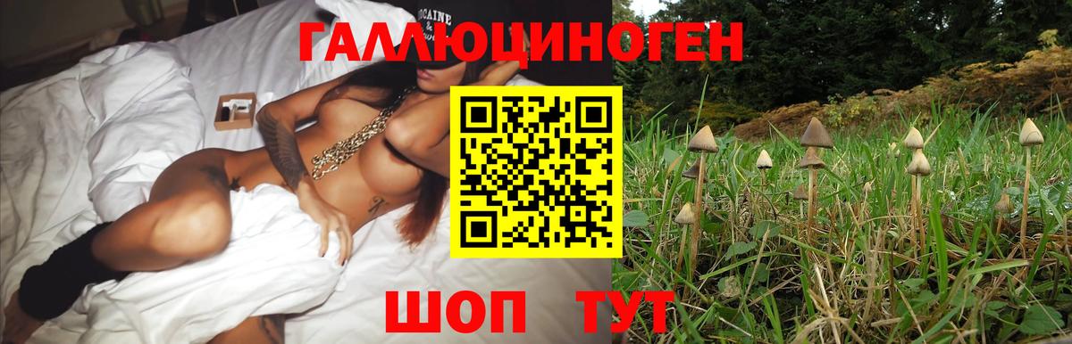 Узловая  Галлюциногенные грибы Magic Shrooms  Вход с VPN 